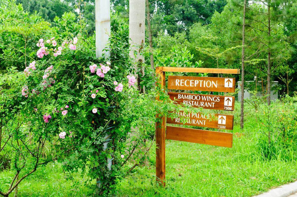 Flamingo Dai Lai Resort Ngoc Quang Eksteriør bilde